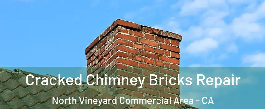 Cracked Chimney Bricks Repair North Vineyard Commercial Area - CA