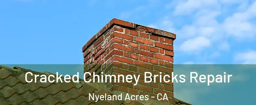 Cracked Chimney Bricks Repair Nyeland Acres - CA