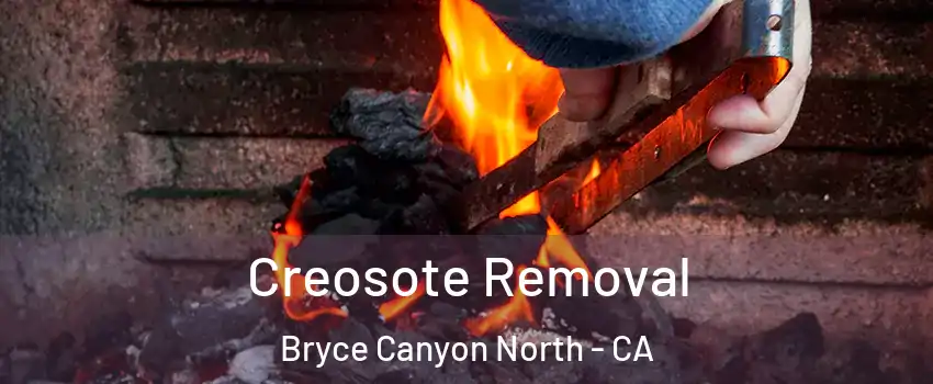 Creosote Removal Bryce Canyon North - CA
