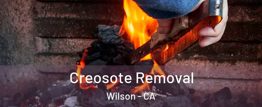Creosote Removal Wilson - CA