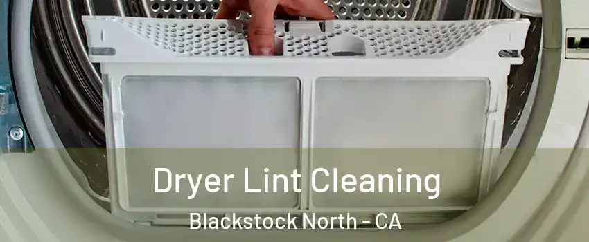 Dryer Lint Cleaning Blackstock North - CA