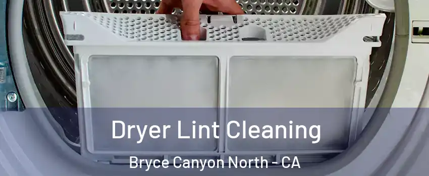 Dryer Lint Cleaning Bryce Canyon North - CA