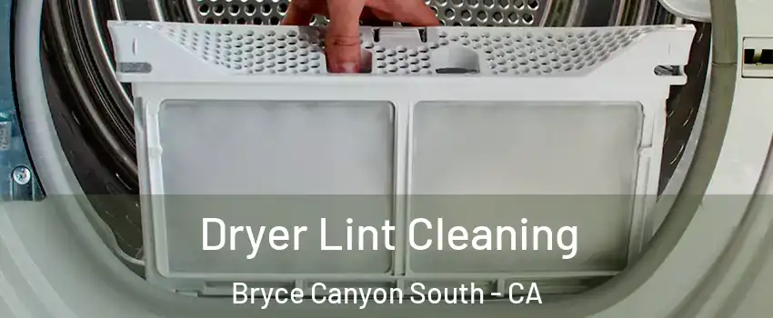 Dryer Lint Cleaning Bryce Canyon South - CA