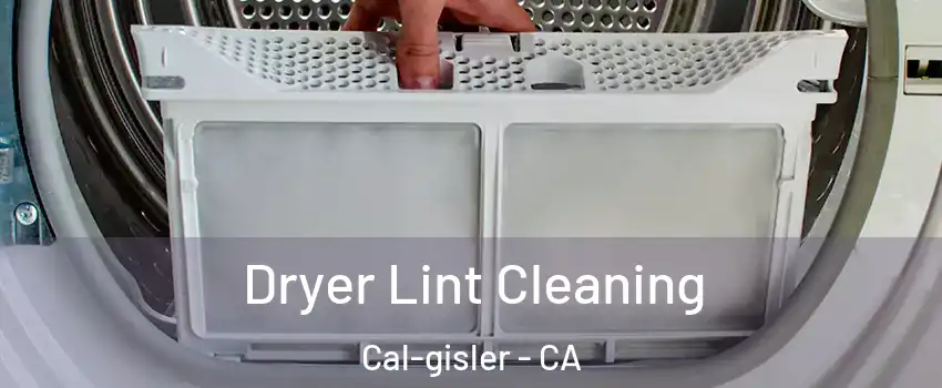 Dryer Lint Cleaning Cal-gisler - CA