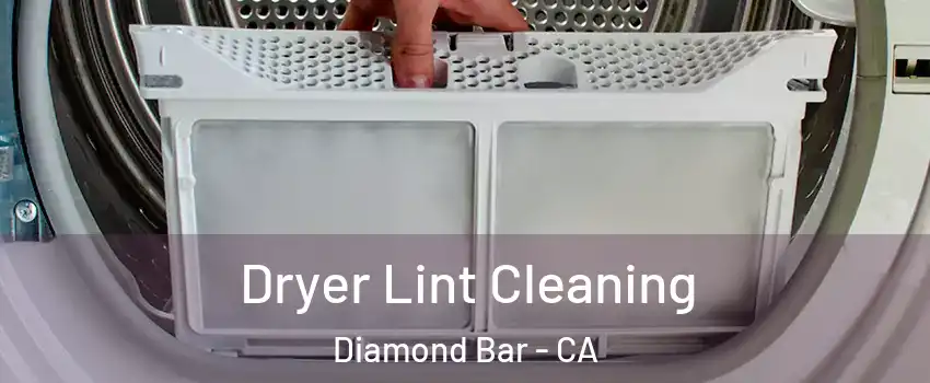 Dryer Lint Cleaning Diamond Bar - CA