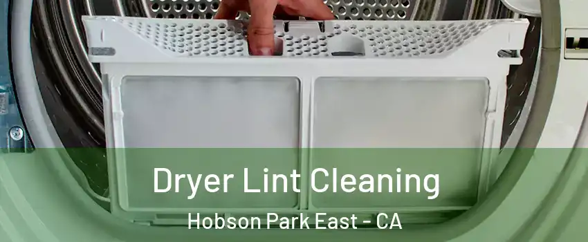Dryer Lint Cleaning Hobson Park East - CA