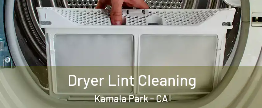 Dryer Lint Cleaning Kamala Park - CA