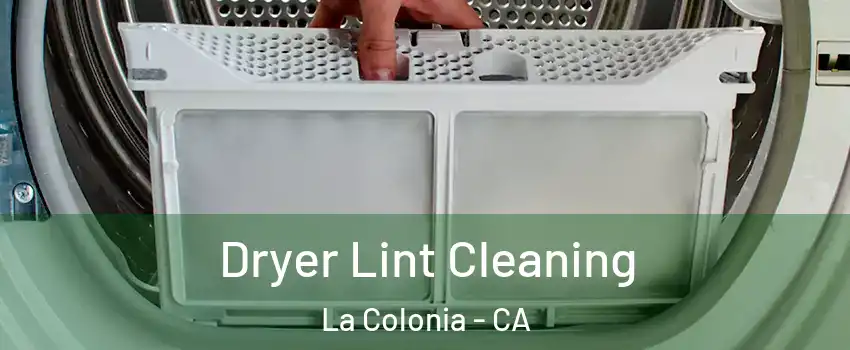 Dryer Lint Cleaning La Colonia - CA