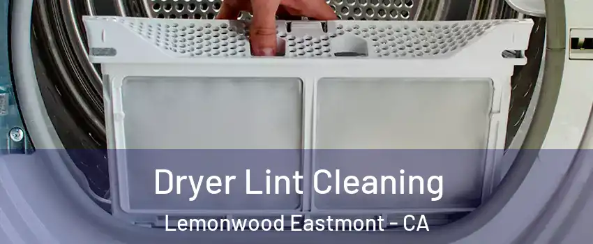 Dryer Lint Cleaning Lemonwood Eastmont - CA