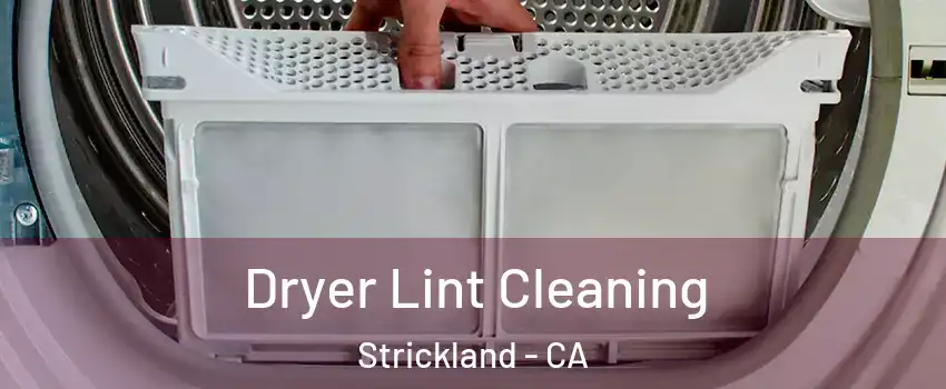 Dryer Lint Cleaning Strickland - CA
