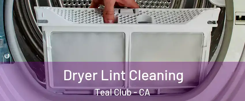 Dryer Lint Cleaning Teal Club - CA