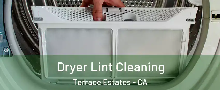 Dryer Lint Cleaning Terrace Estates - CA