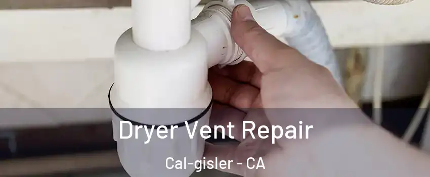 Dryer Vent Repair Cal-gisler - CA
