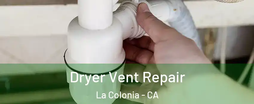 Dryer Vent Repair La Colonia - CA