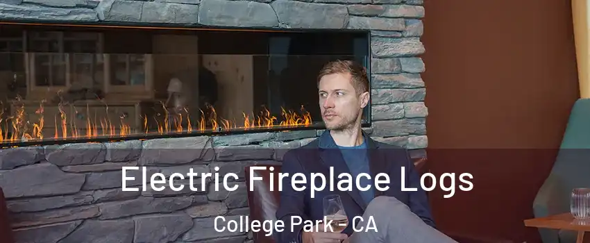 Electric Fireplace Logs College Park - CA