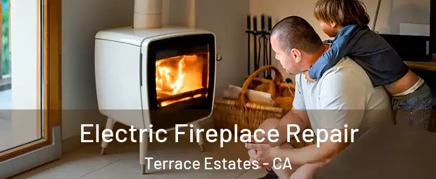 Electric Fireplace Repair Terrace Estates - CA