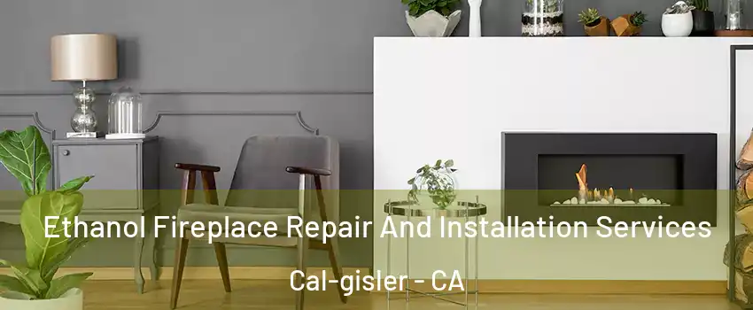Ethanol Fireplace Repair And Installation Services Cal-gisler - CA