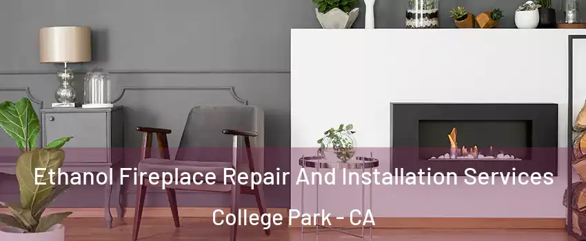 Ethanol Fireplace Repair And Installation Services College Park - CA