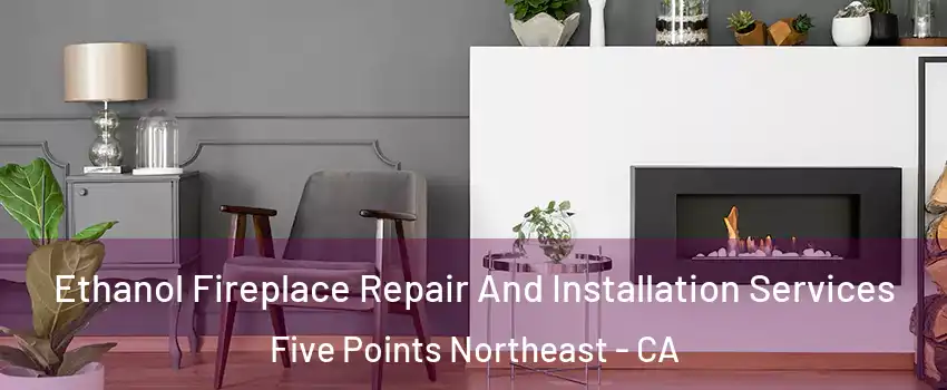 Ethanol Fireplace Repair And Installation Services Five Points Northeast - CA