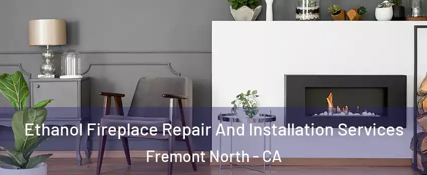 Ethanol Fireplace Repair And Installation Services Fremont North - CA