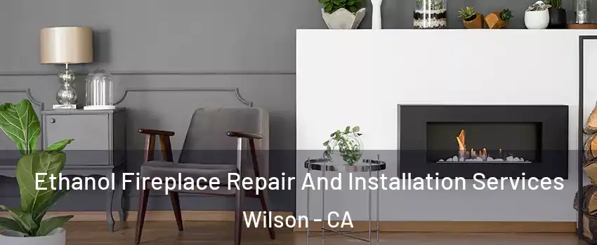 Ethanol Fireplace Repair And Installation Services Wilson - CA