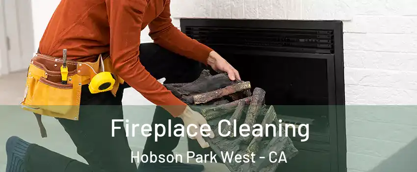 Fireplace Cleaning Hobson Park West - CA
