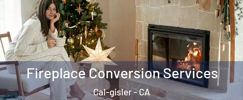 Fireplace Conversion Services Cal-gisler - CA
