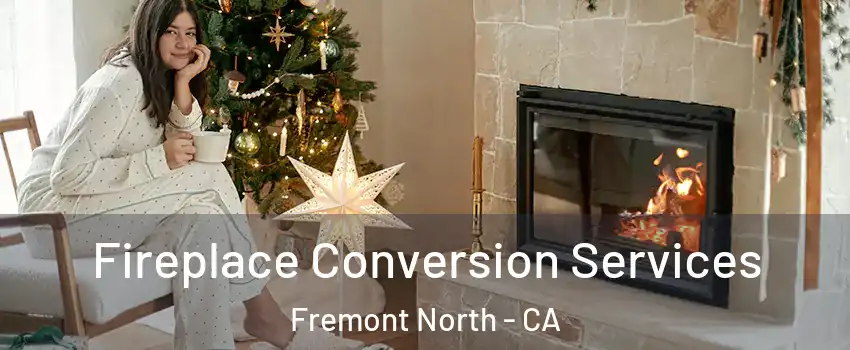 Fireplace Conversion Services Fremont North - CA