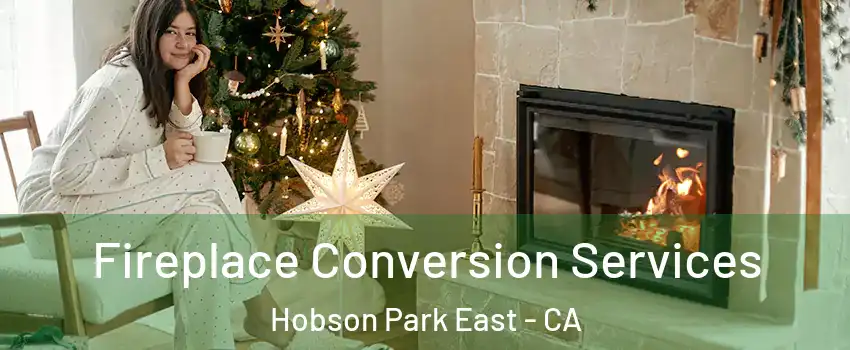 Fireplace Conversion Services Hobson Park East - CA