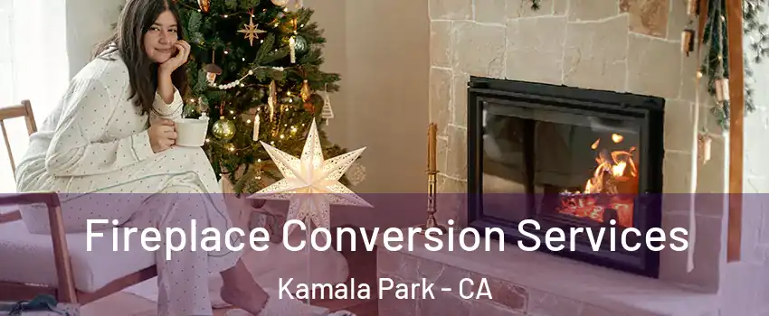 Fireplace Conversion Services Kamala Park - CA