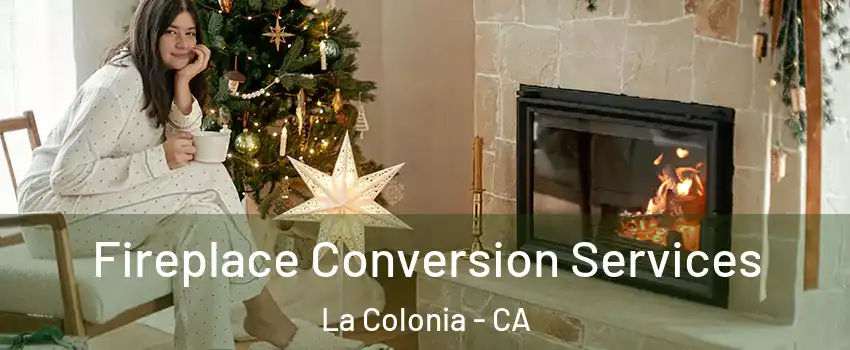 Fireplace Conversion Services La Colonia - CA