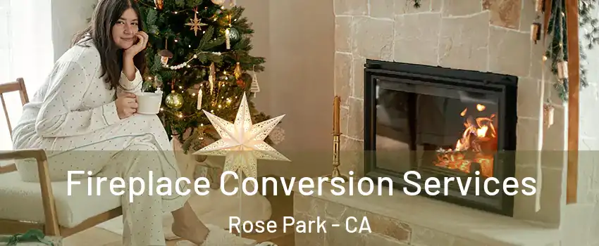 Fireplace Conversion Services Rose Park - CA