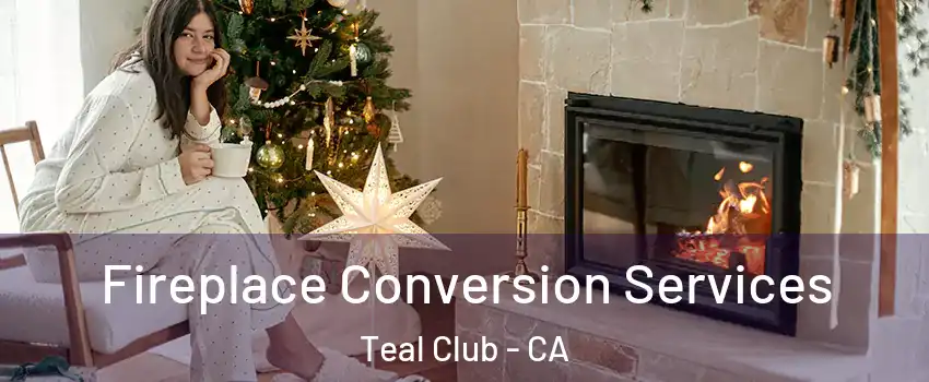 Fireplace Conversion Services Teal Club - CA