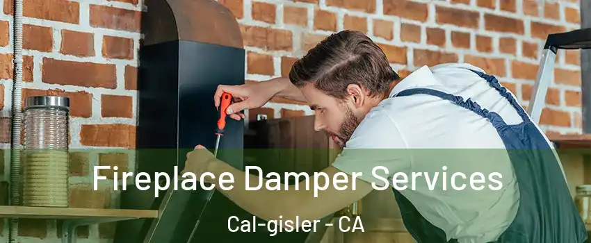 Fireplace Damper Services Cal-gisler - CA