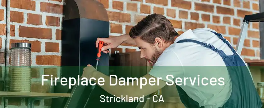 Fireplace Damper Services Strickland - CA