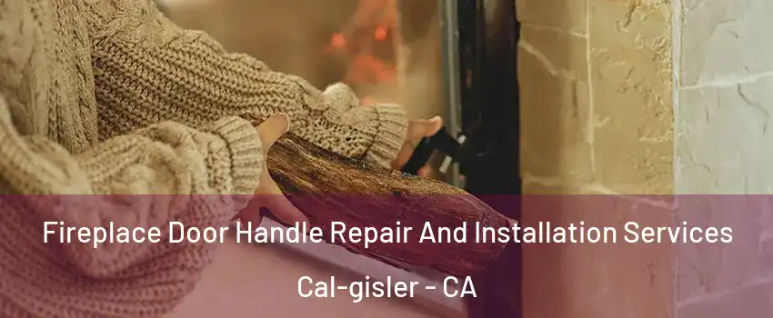 Fireplace Door Handle Repair And Installation Services Cal-gisler - CA
