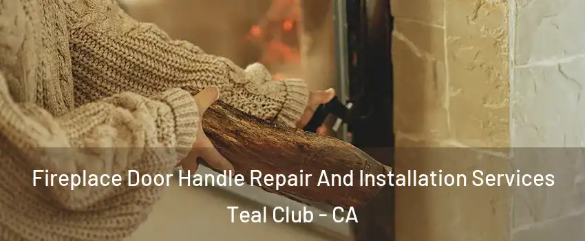 Fireplace Door Handle Repair And Installation Services Teal Club - CA