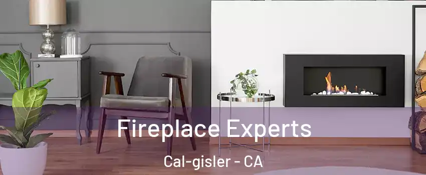 Fireplace Experts Cal-gisler - CA