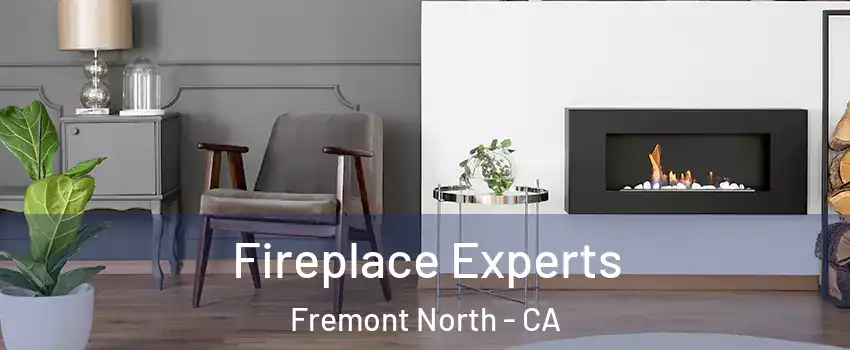 Fireplace Experts Fremont North - CA