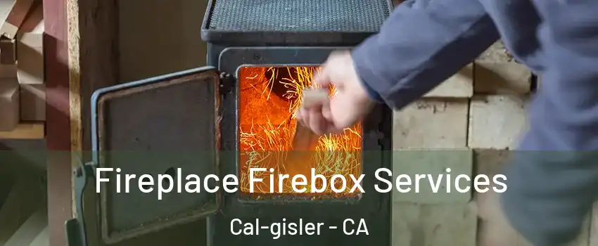 Fireplace Firebox Services Cal-gisler - CA