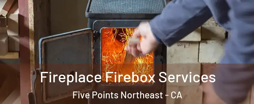 Fireplace Firebox Services Five Points Northeast - CA