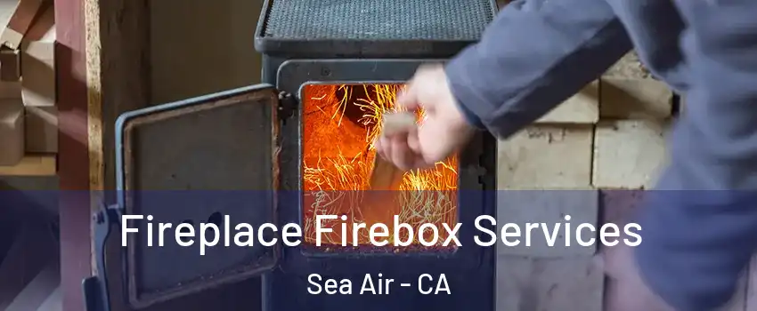 Fireplace Firebox Services Sea Air - CA
