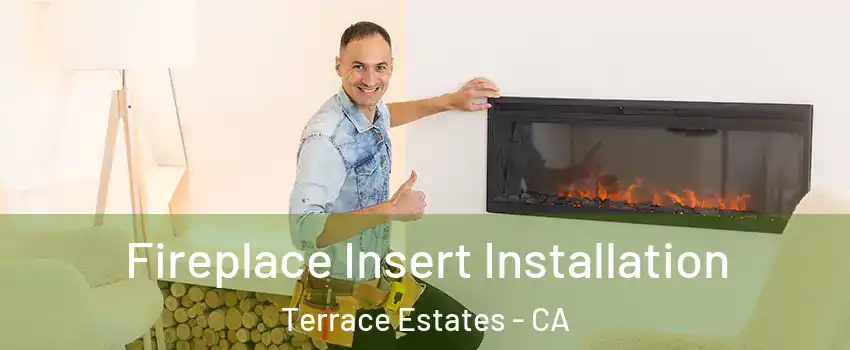 Fireplace Insert Installation Terrace Estates - CA