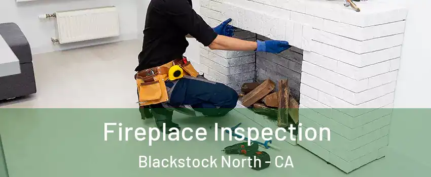 Fireplace Inspection Blackstock North - CA