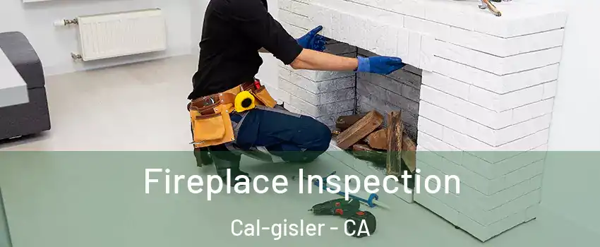 Fireplace Inspection Cal-gisler - CA