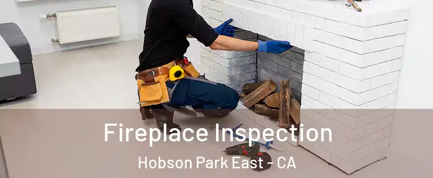 Fireplace Inspection Hobson Park East - CA