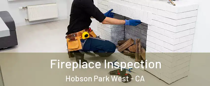 Fireplace Inspection Hobson Park West - CA