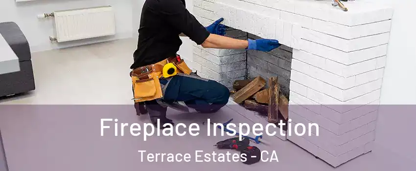 Fireplace Inspection Terrace Estates - CA