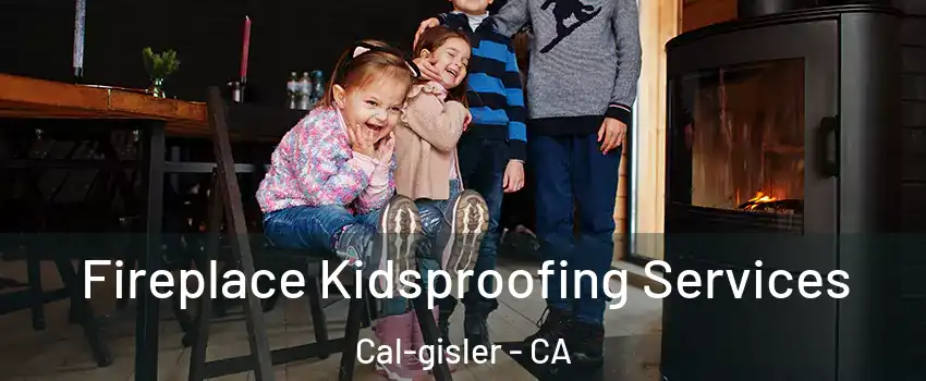 Fireplace Kidsproofing Services Cal-gisler - CA