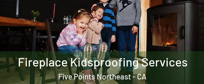 Fireplace Kidsproofing Services Five Points Northeast - CA